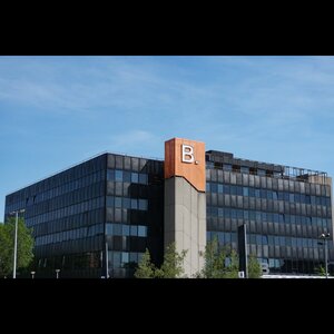 ROXTAR Online Marketing image 1