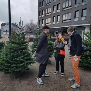 Kerstboom Amsterdam image 5